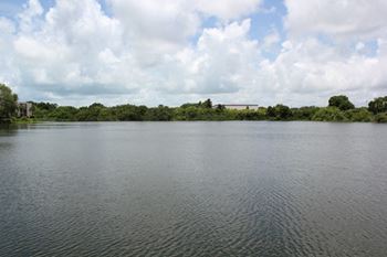 9 Acre natural lake to fish in